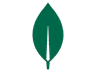 MongoDB Logo
